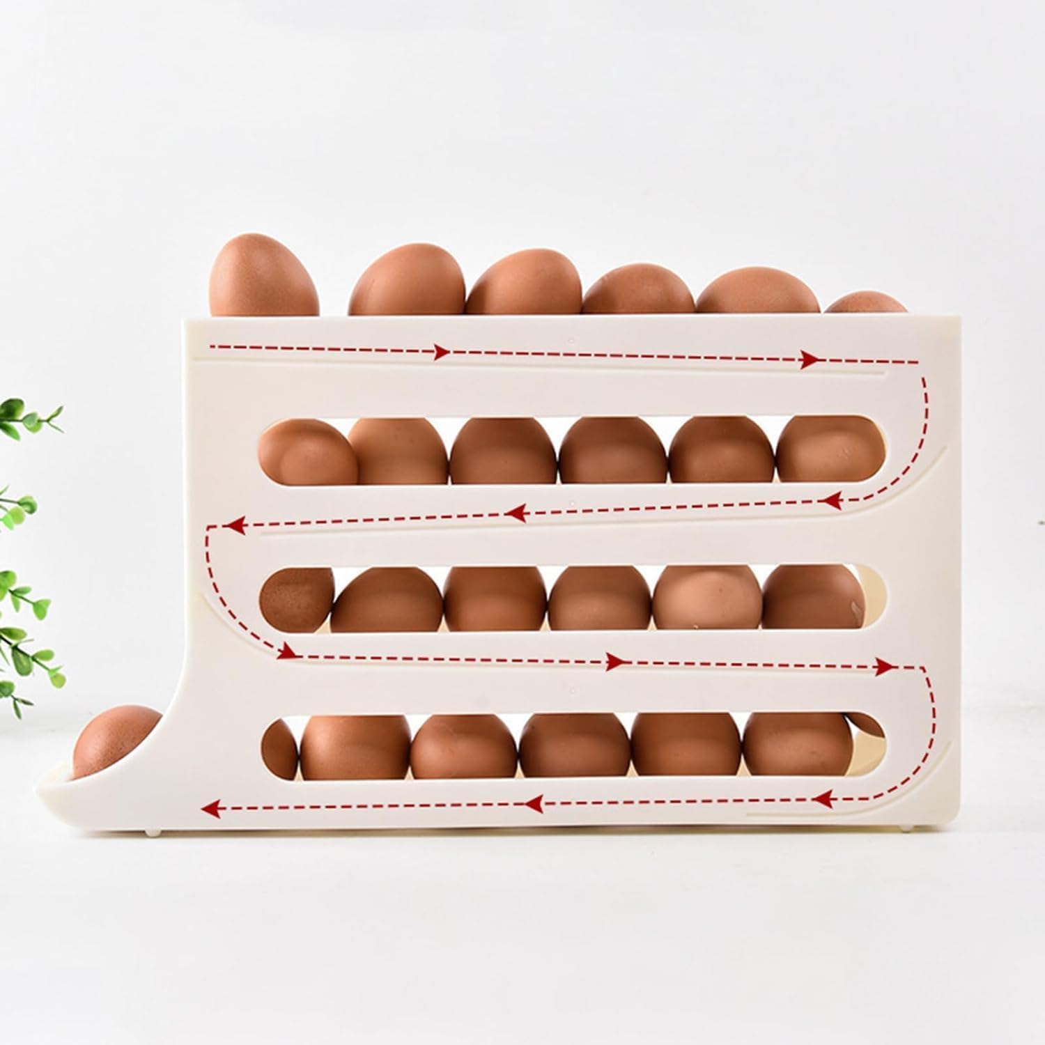 Egg holder